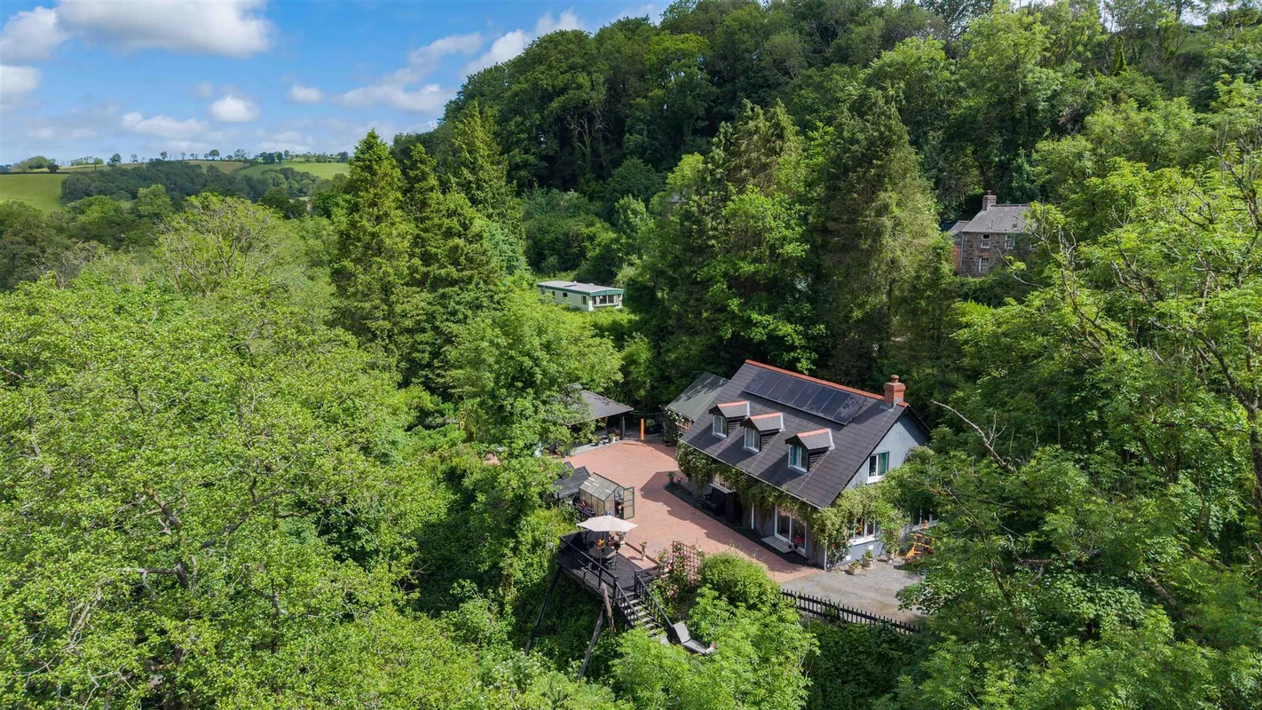 Cwmfelin Boeth - 1.75 Acre Wooded Plot