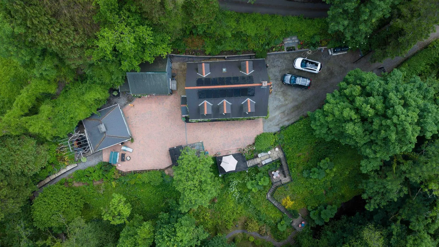 Cwmfelin Boeth - 1.75 Acre Wooded Plot