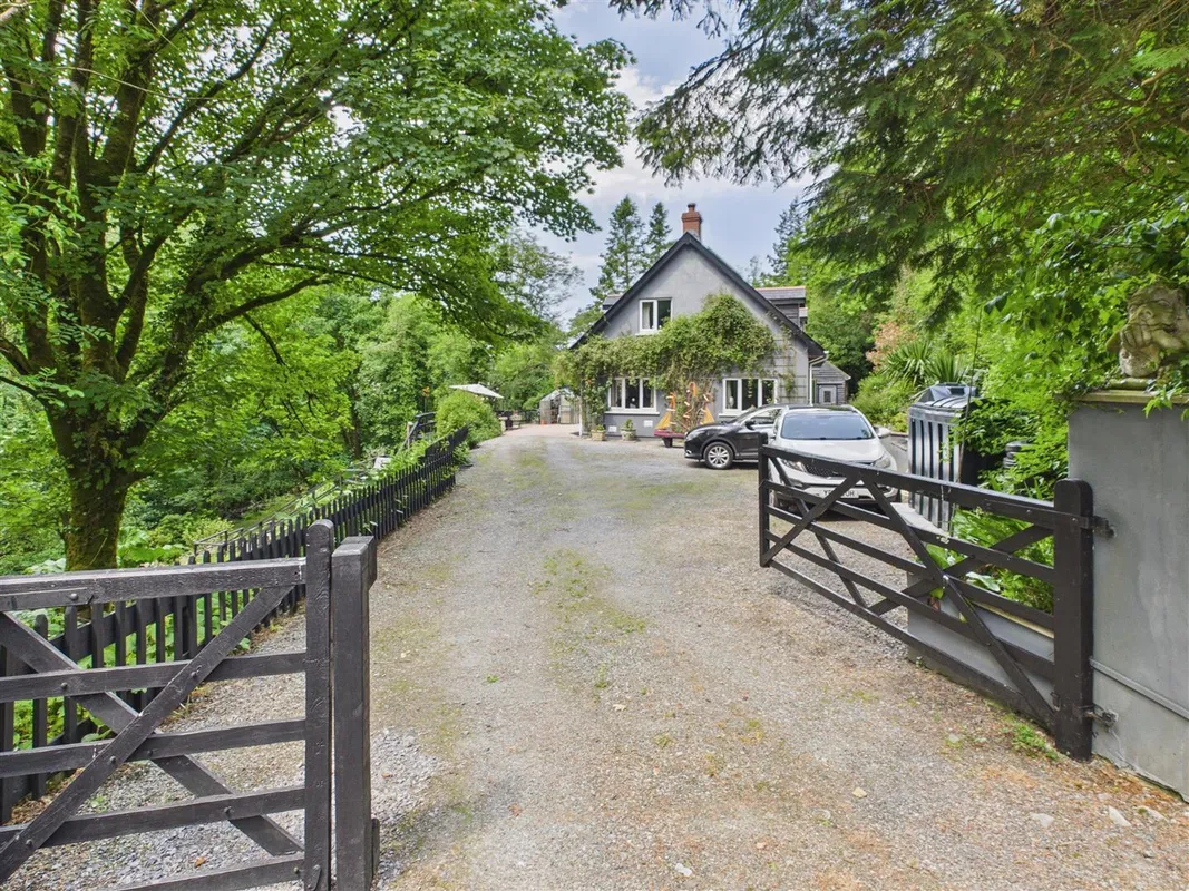 Cwmfelin Boeth - 1.75 Acre Wooded Plot