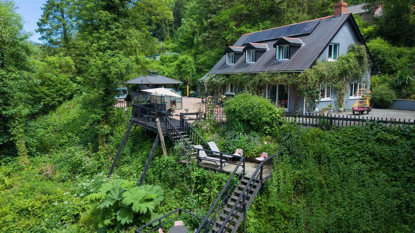 Cwmfelin Boeth - 1.75 Acre Wooded Plot