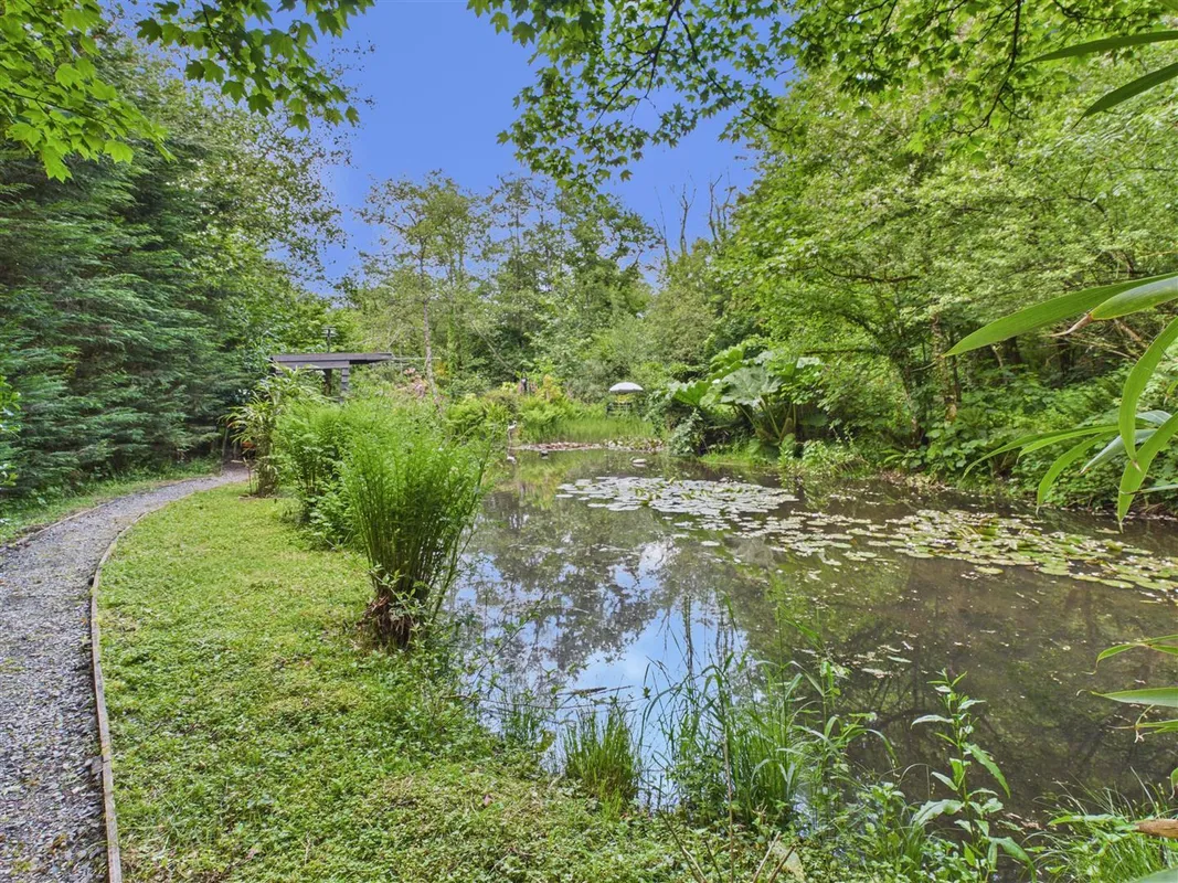 Cwmfelin Boeth - 1.75 Acre Wooded Plot