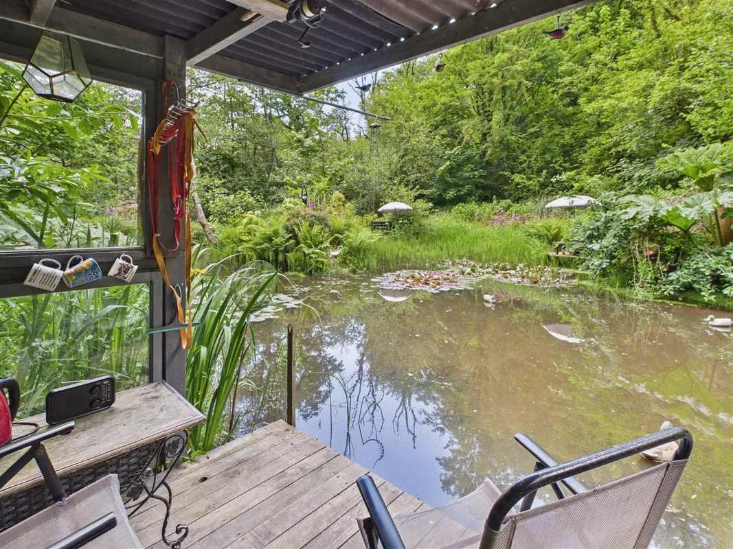 Cwmfelin Boeth - 1.75 Acre Wooded Plot