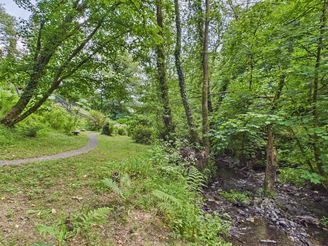 Cwmfelin Boeth - 1.75 Acre Wooded Plot