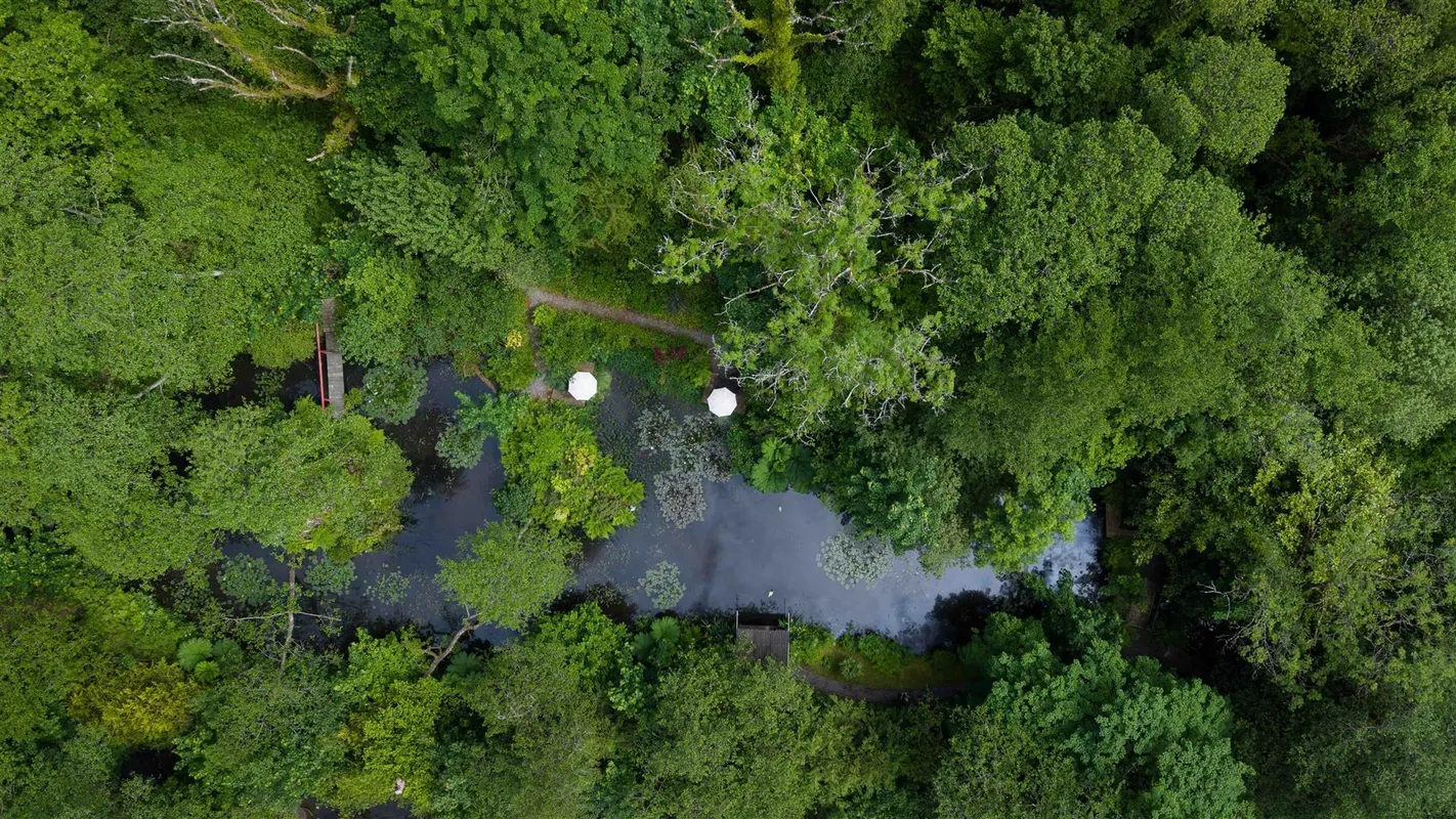 Cwmfelin Boeth - 1.75 Acre Wooded Plot