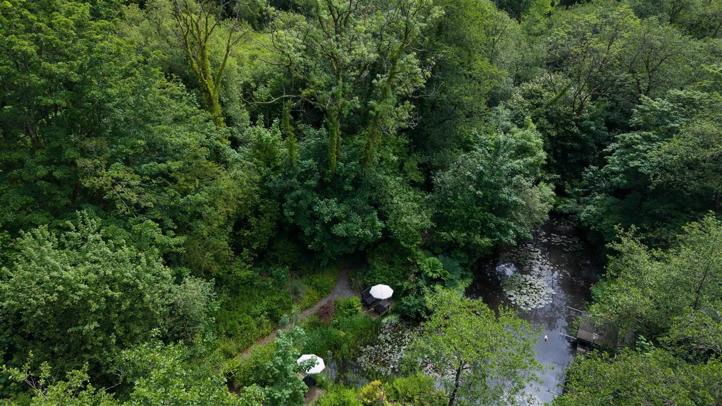 Cwmfelin Boeth - 1.75 Acre Wooded Plot