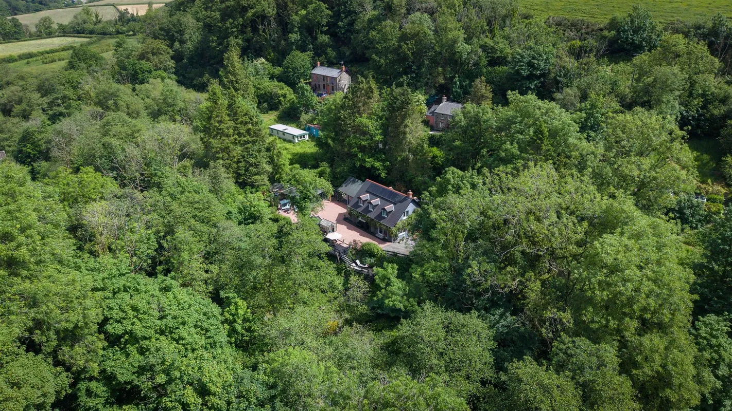 Cwmfelin Boeth - 1.75 Acre Wooded Plot
