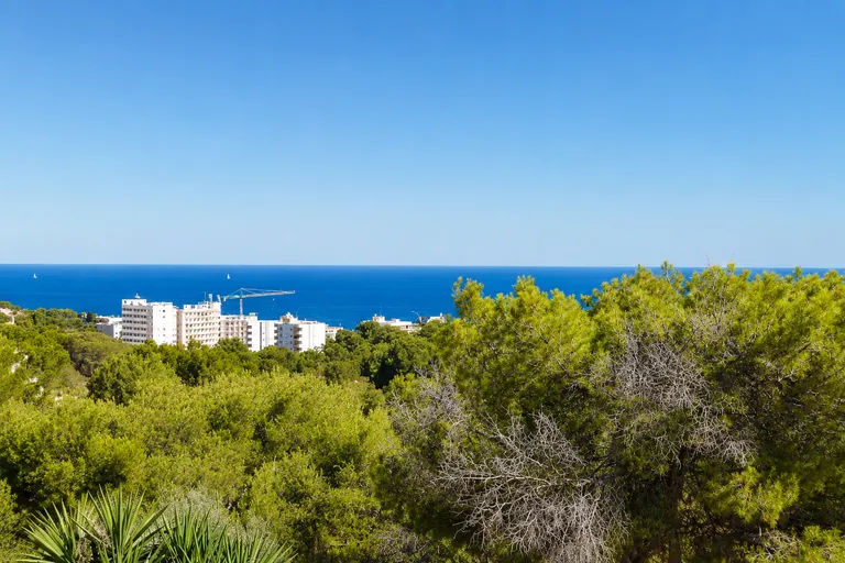 Costa den Blanes Ciutat Antigua Palma de Mallorca