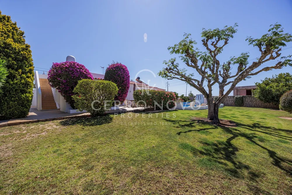 Pêra Silves