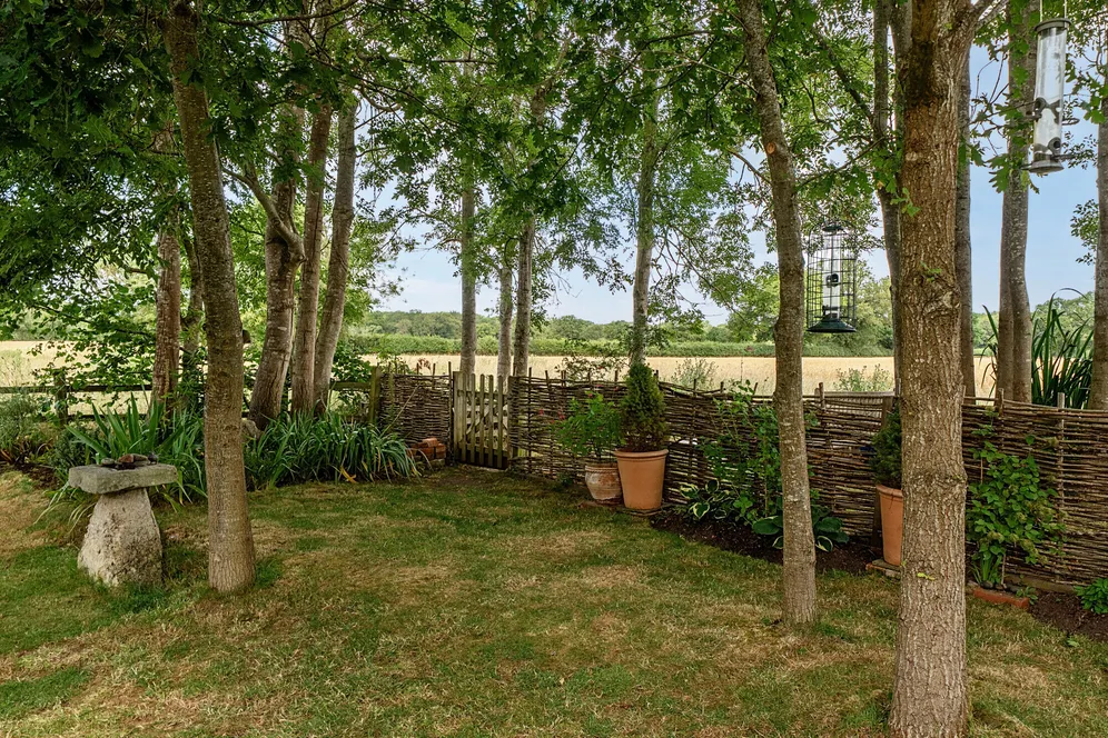 Pondwood Lane, Shottesbrooke, Maidenhead, SL6 photo 13