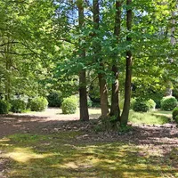 Property 22