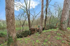 Winds Point, Hagley, STOURBRIDGE