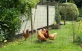 Property image gallery