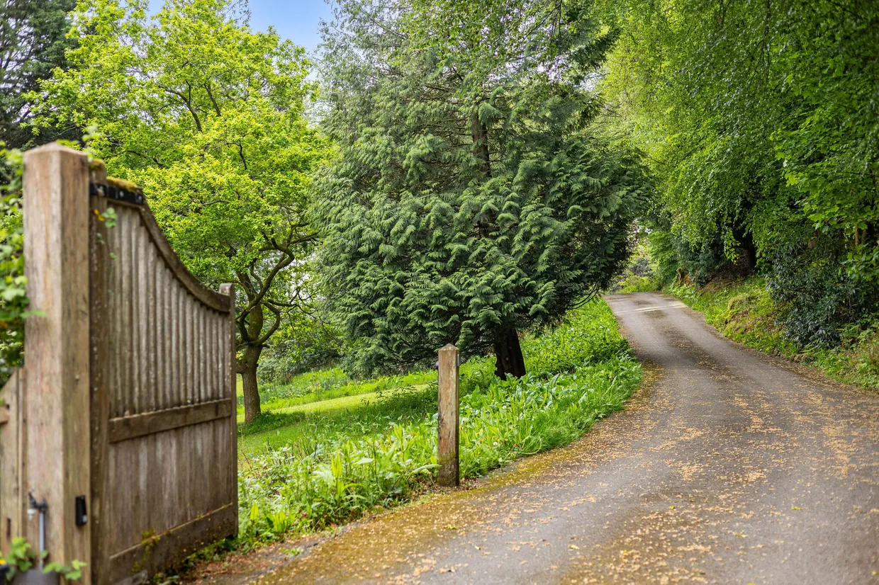 Henley, Haslemere, GU27 photo 12
