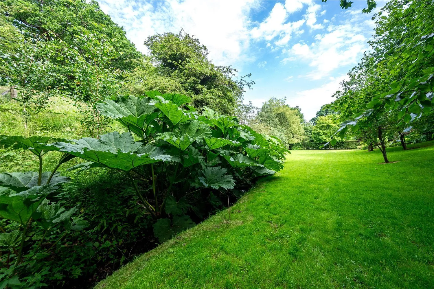 Leagram Road, Chipping, PR3 photo 45