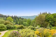 Henley, Haslemere, GU27 photo 14