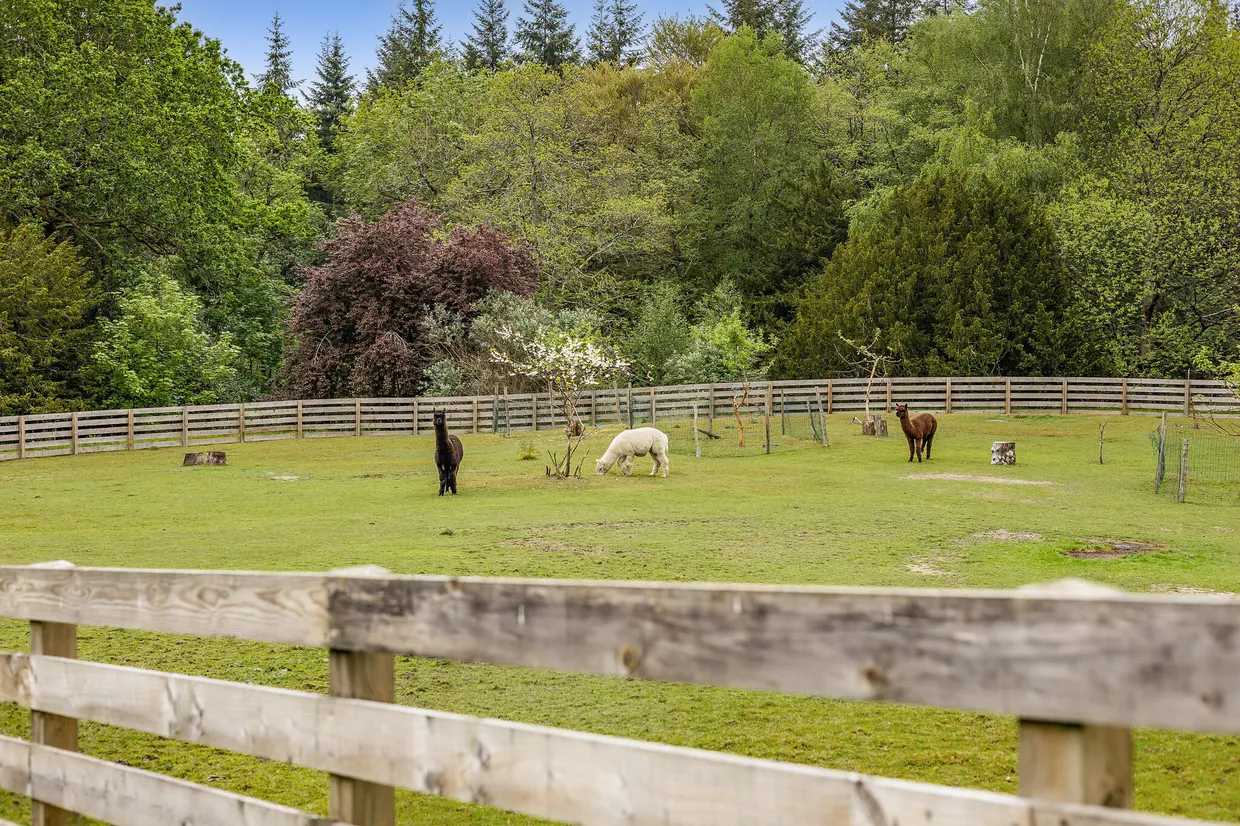 Henley, Haslemere, GU27 photo 35