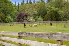 Henley, Haslemere, GU27 photo 35