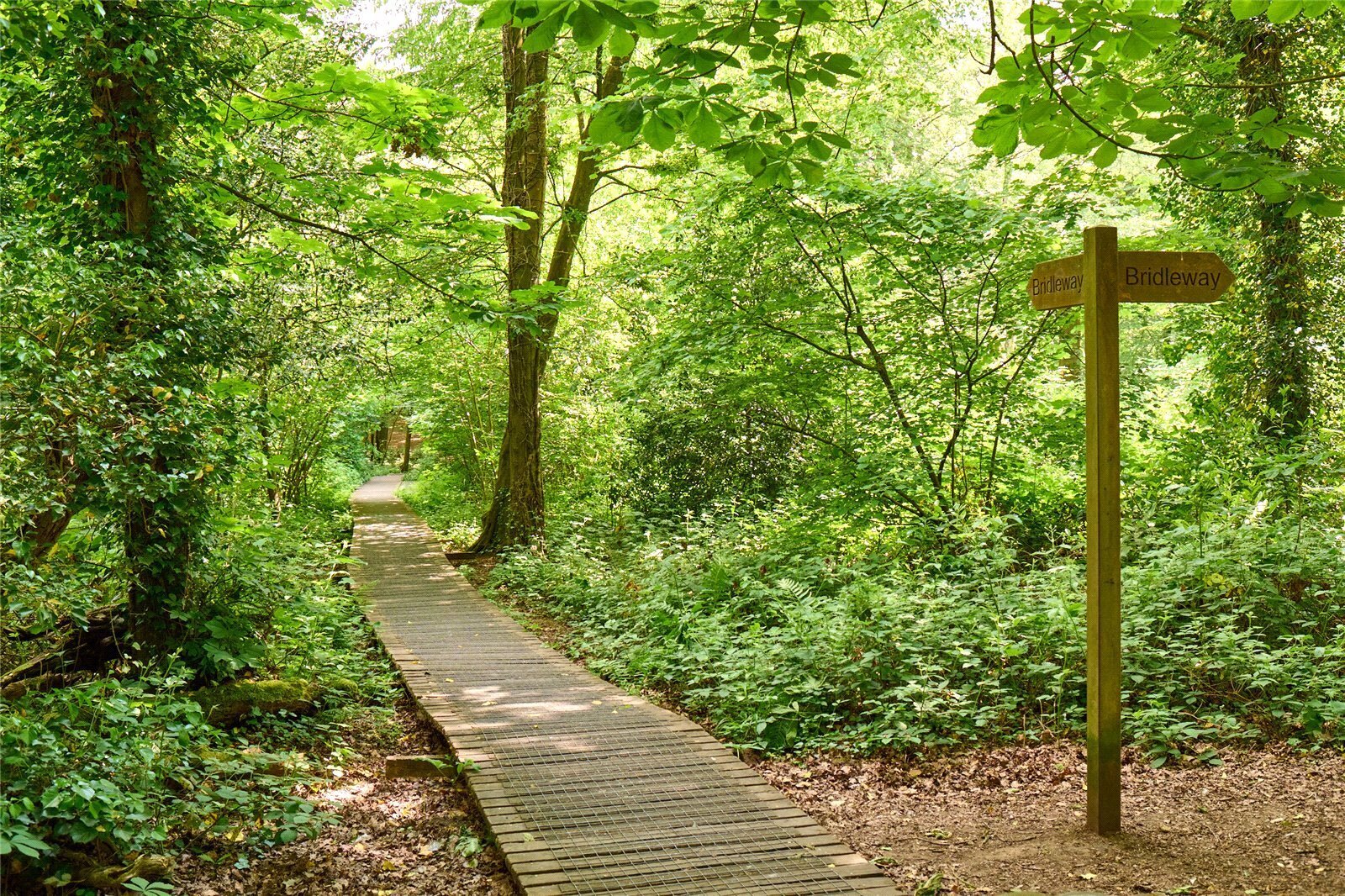 The Green, Bolley Avenue, Bordon, GU35 Image 7