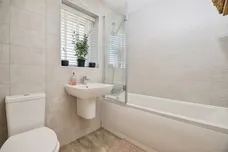 Snowball Grove, Stockton-On-Tees