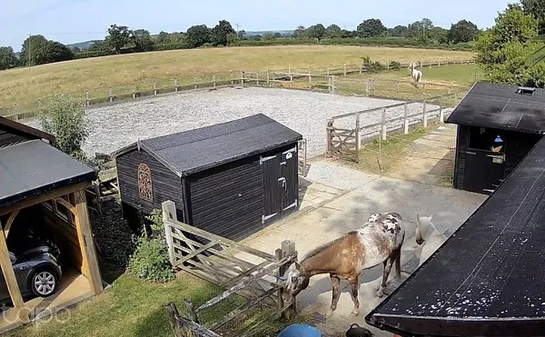 Battle Lane, Marden, TN12 photo 19