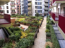 Momento Elephant  Castle London SE17 photo 13