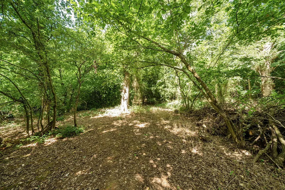 Ashen Grove Road, Sevenoaks, TN15 photo 7