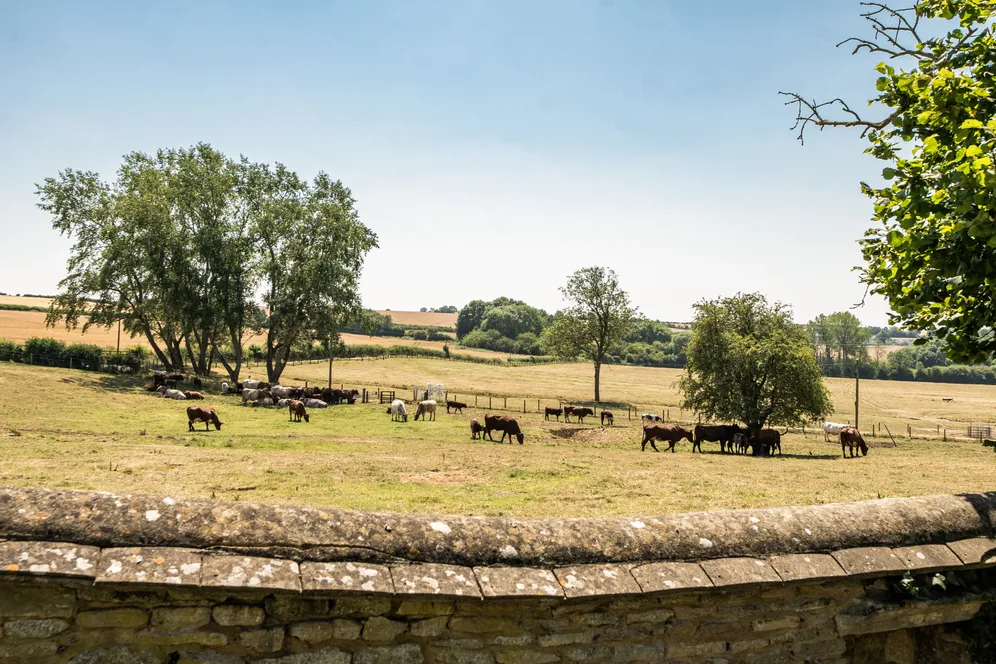 The Green, Upper Heyford, OX25 photo 30