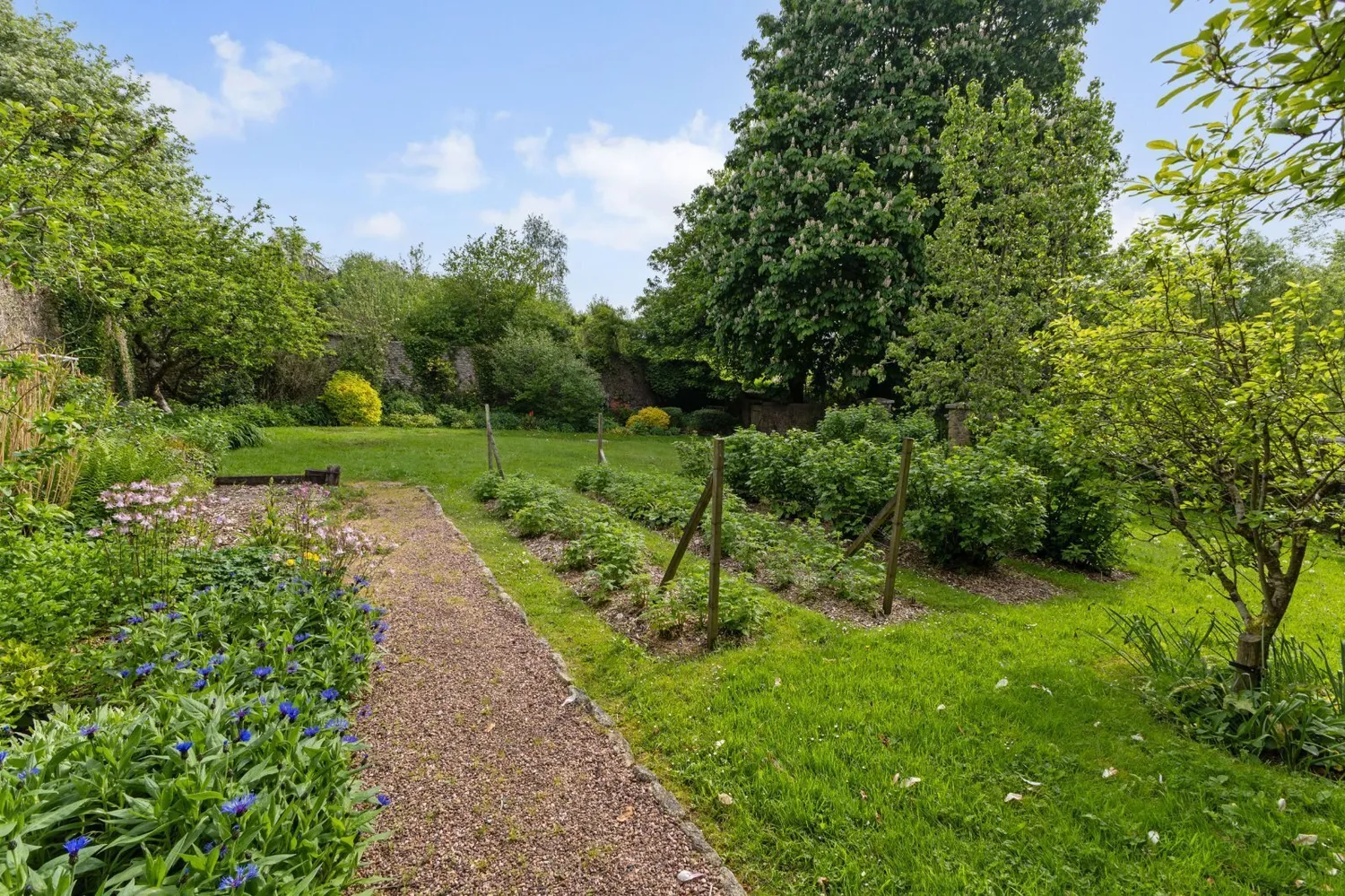 Bridford, Exeter, EX6 photo 14