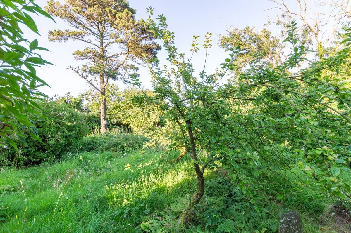 Llannerch-y-Medd, Isle of Anglesey, LL71