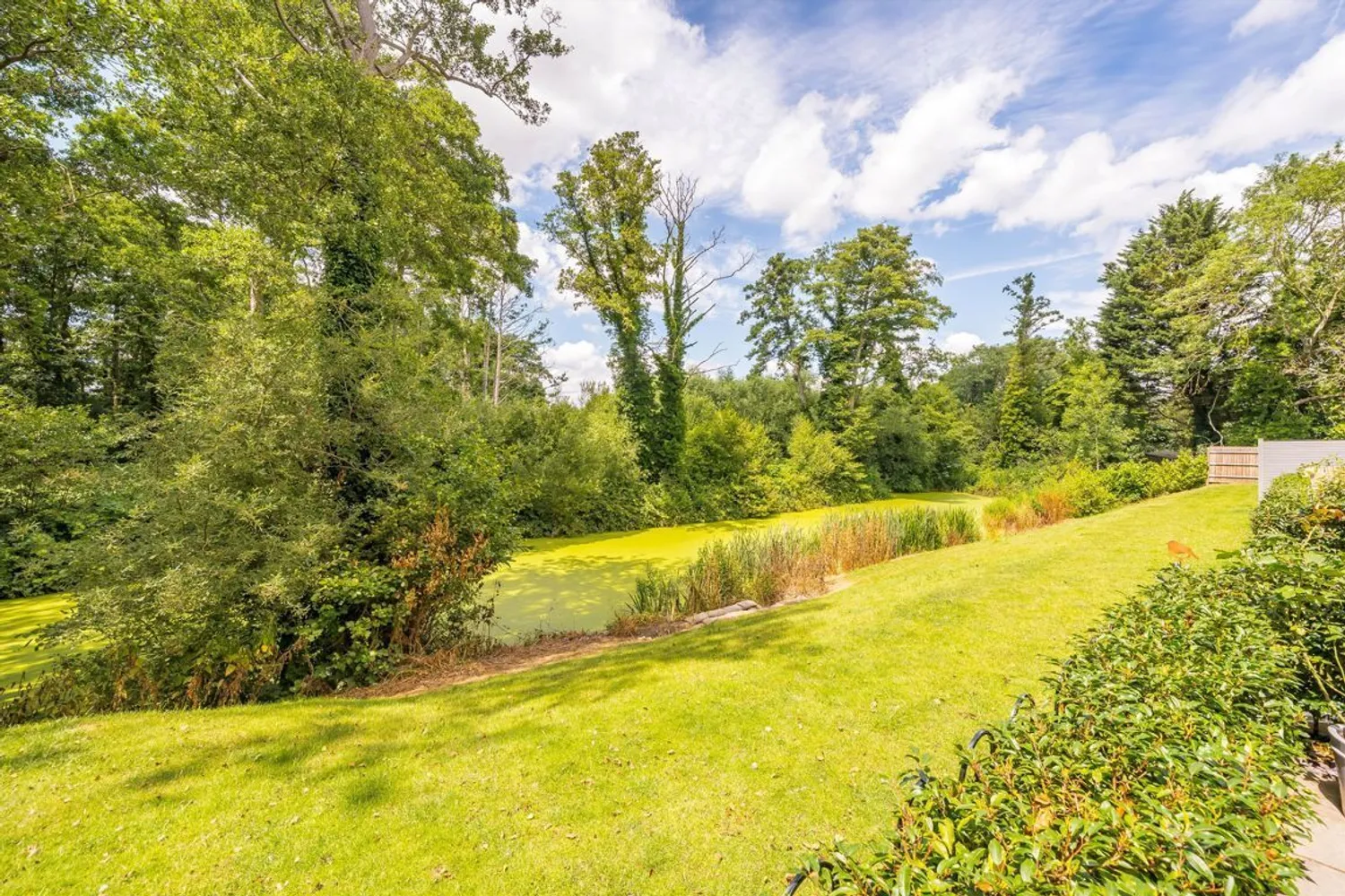 Jubilee Gardens, Weybridge, KT13 photo 7