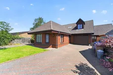 Crocus Grove, Irvine