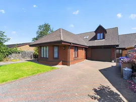 Crocus Grove, Irvine photo