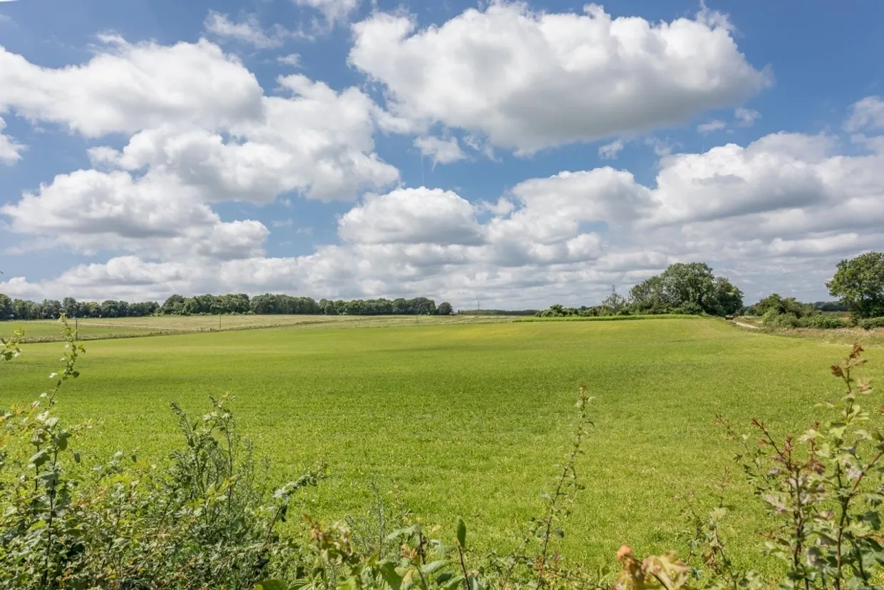 Ewhurst Park Ramsdell RG26 photo 12