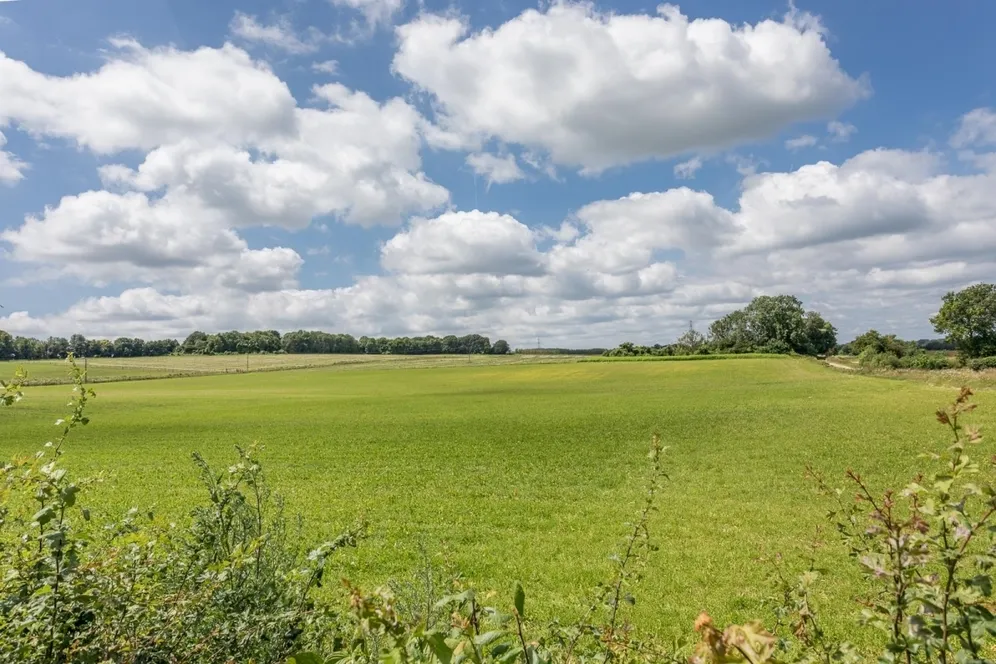 Ewhurst Park Ramsdell RG26 photo 12