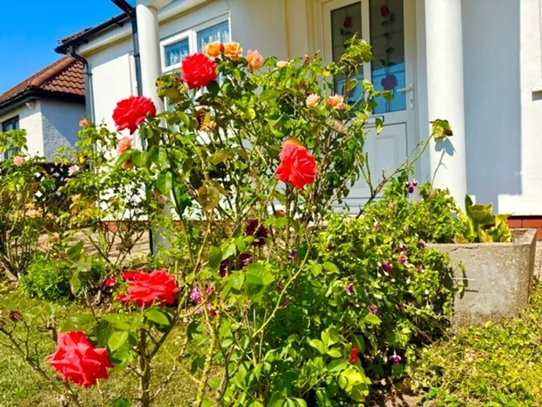 Property photo 32