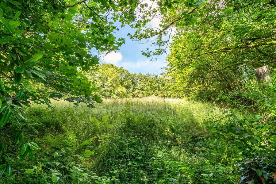 Property Image 33