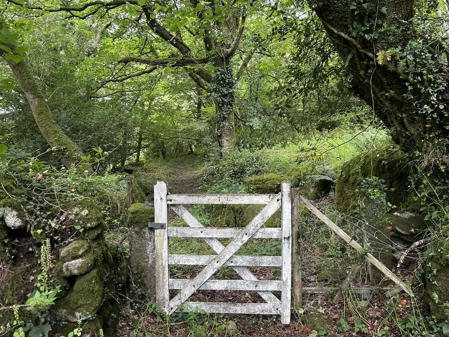 Property Image 35
