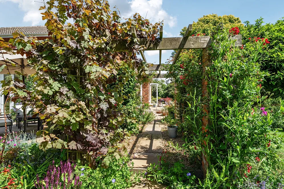 Itchel Lane, Crondall, Farnham, GU10 photo 22