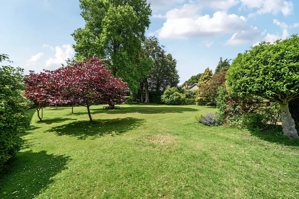 Itchel Lane, Crondall, Farnham, GU10 photo 27