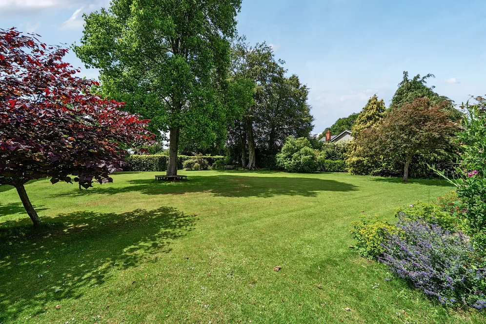 Itchel Lane, Crondall, Farnham, GU10 photo 29