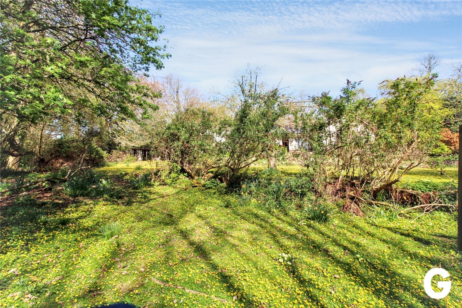 Highwood, Ringwood, Hampshire, BH24 Image 10