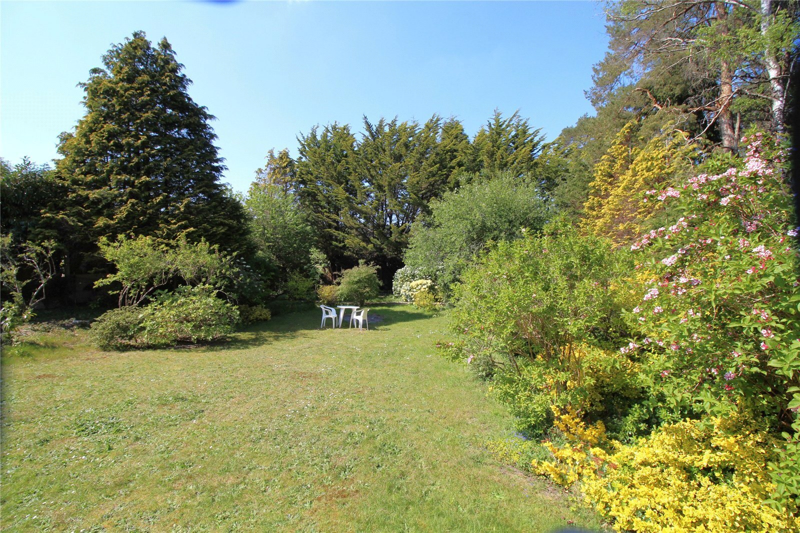 St. Ives Park, Ashley Heath, Ringwood, Hampshire, BH24 Image 17