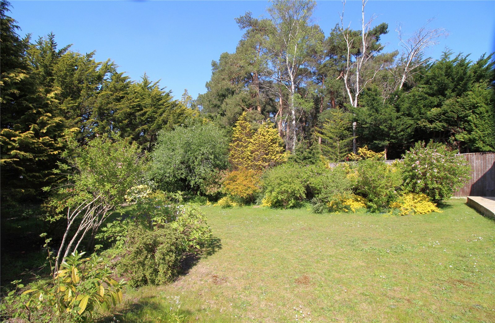 St. Ives Park, Ashley Heath, Ringwood, Hampshire, BH24 Image 18