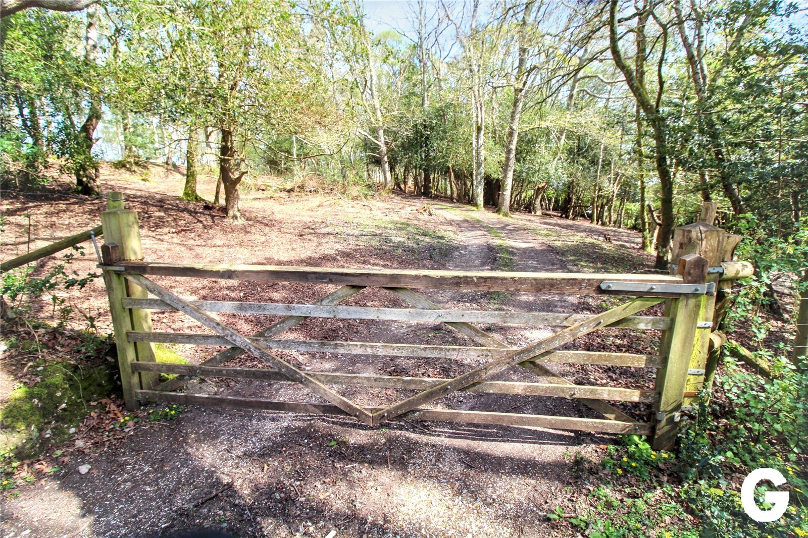Highwood, Ringwood, Hampshire, BH24 Image 14