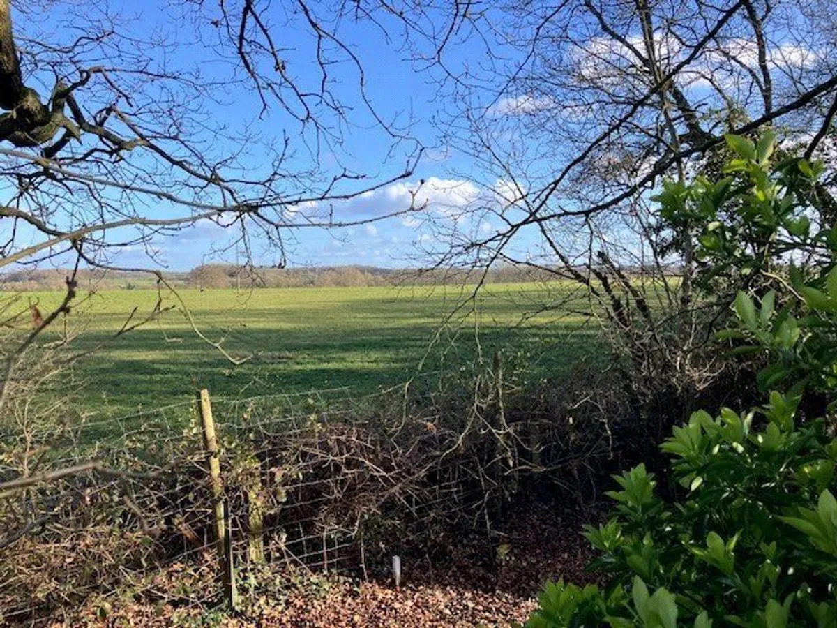 Pyotts Hill, Old Basing, RG24