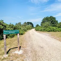 Property 29