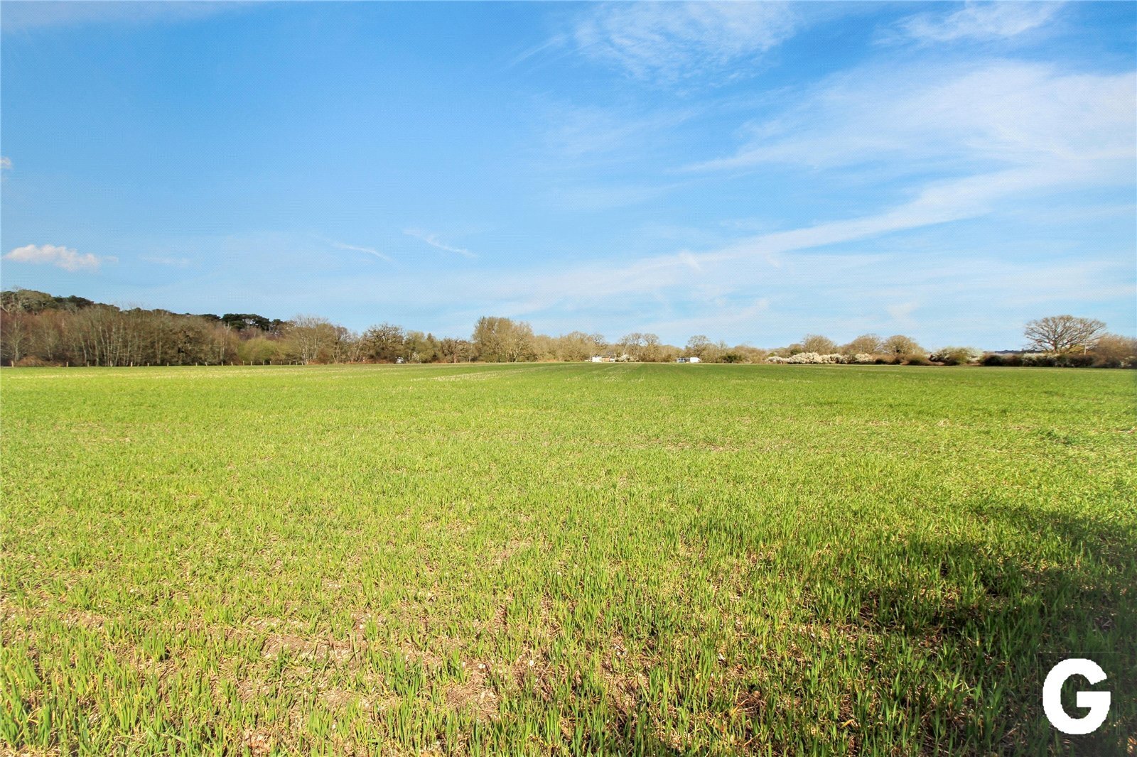 Kingston Common, Ringwood, Hampshire, BH24 Image 3