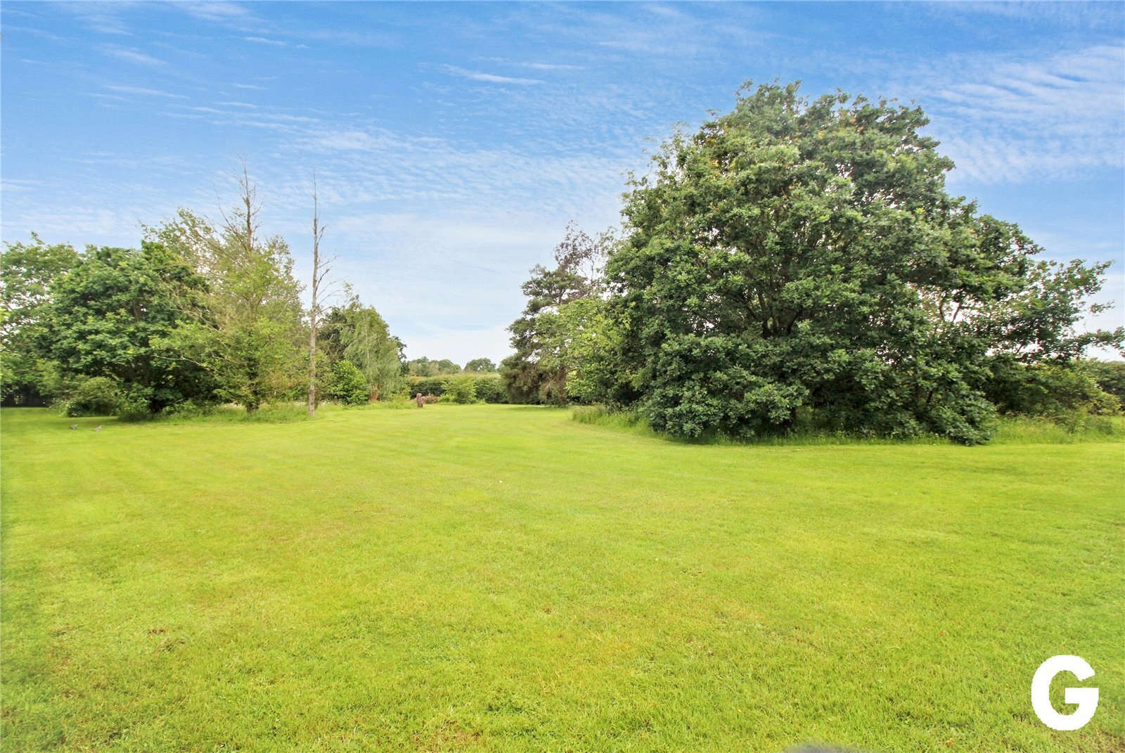 Crow, Ringwood, Hampshire, BH24 Image 33