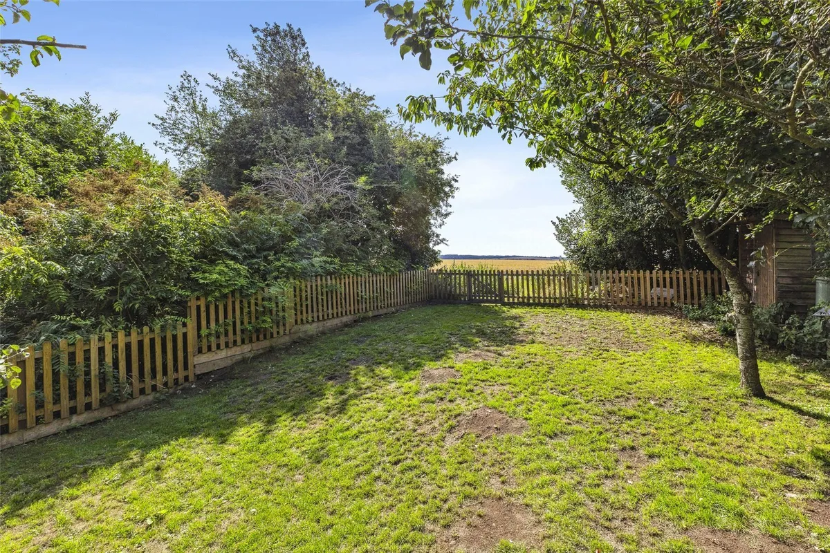 Bible Fields, Dummer, RG25