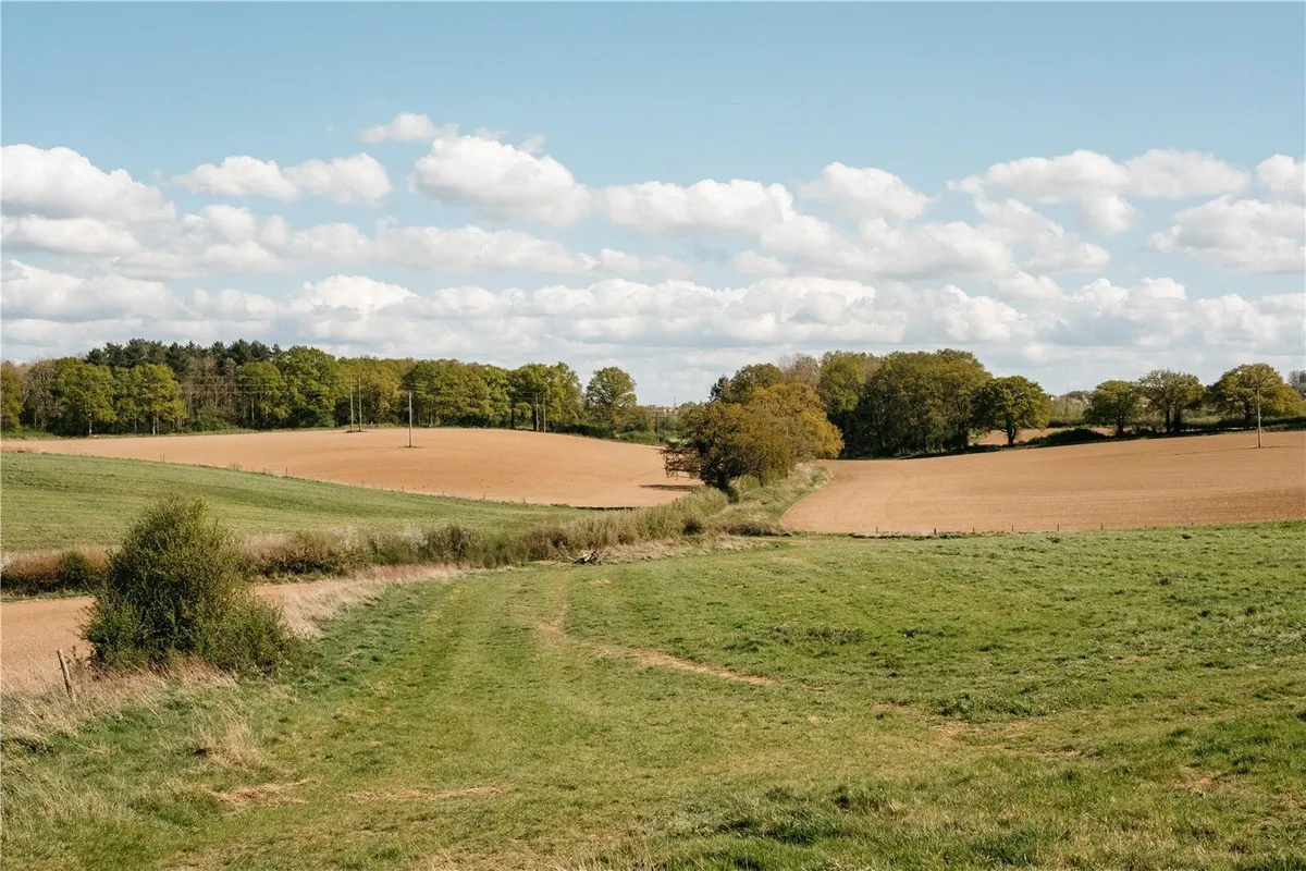 Oak Field Gardens, Sherborne St John, RG24
